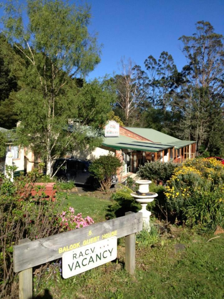 Tarra Bulga Guesthouse Balook Kültér fotó